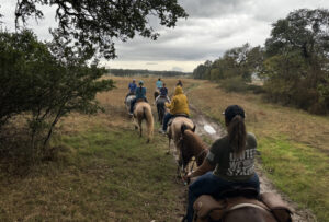 Canyon-Lake-Trail-Rides-New-Braunfels-TX