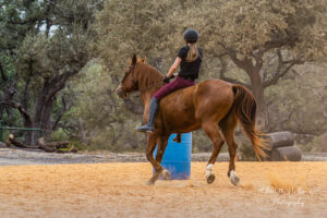 private horse riding lessons new braunfels